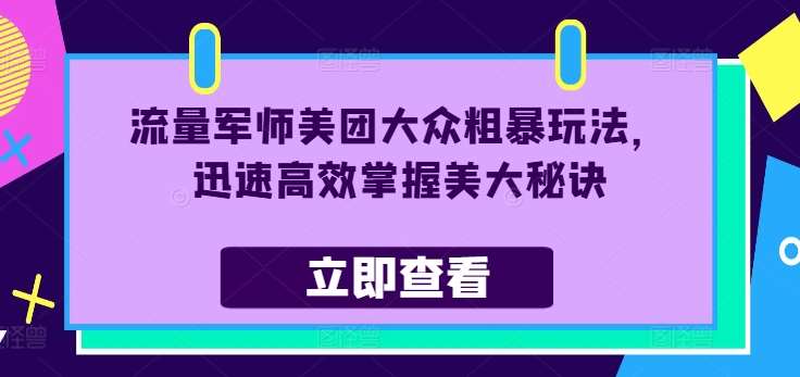 流量军师美团大众粗暴玩法，迅速高效掌握美大秘诀_天恒副业网