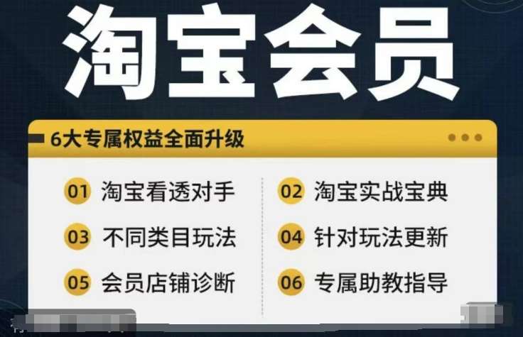 淘宝会员【淘宝所有课程，全面分析对手】，初级到高手全系实战宝典_天恒副业网