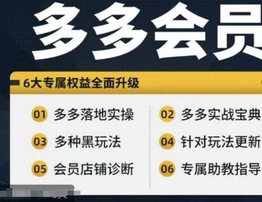 拼多多会员，拼多多实战宝典+实战落地实操，从新手到高阶内容全面覆盖_天恒副业网