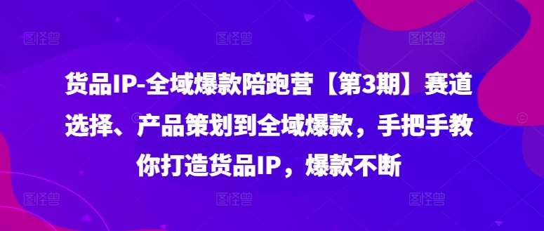 货品IP全域爆款陪跑营【第3期】赛道选择、产品策划到全域爆款，手把手教你打造货品IP，爆款不断_天恒副业网