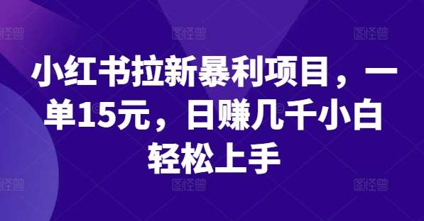 小红书拉新暴利项目，一单15元，日赚几千小白轻松上手【揭秘】_天恒副业网