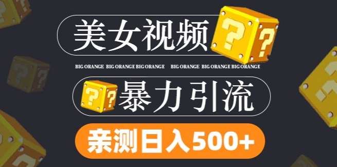 搬运tk美女视频全网分发，日引s粉300+，轻松变现，不限流量不封号【揭秘】_天恒副业网