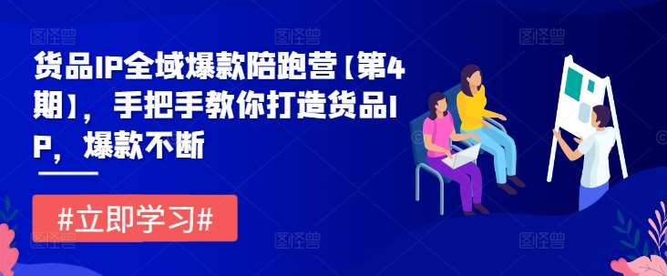 货品IP全域爆款陪跑营【第4期】，手把手教你打造货品IP，爆款不断_天恒副业网