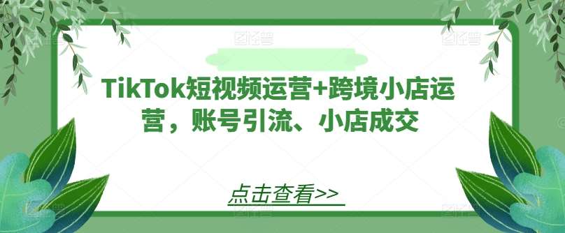 TikTok短视频运营+跨境小店运营，账号引流、小店成交_天恒副业网