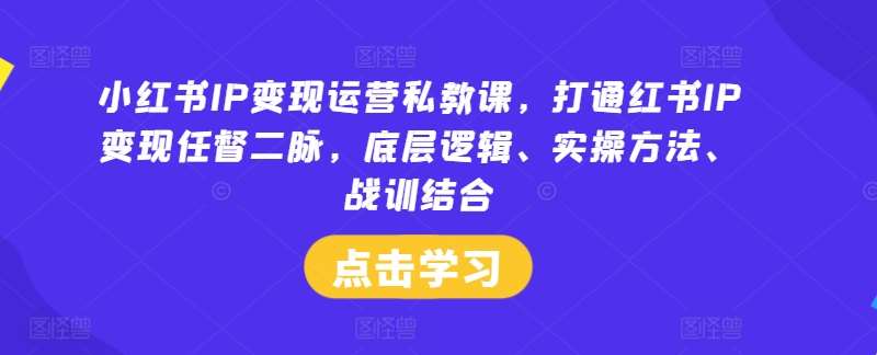 小红书IP变现运营私教课，打通红书IP变现任督二脉，底层逻辑、实操方法、战训结合_天恒副业网