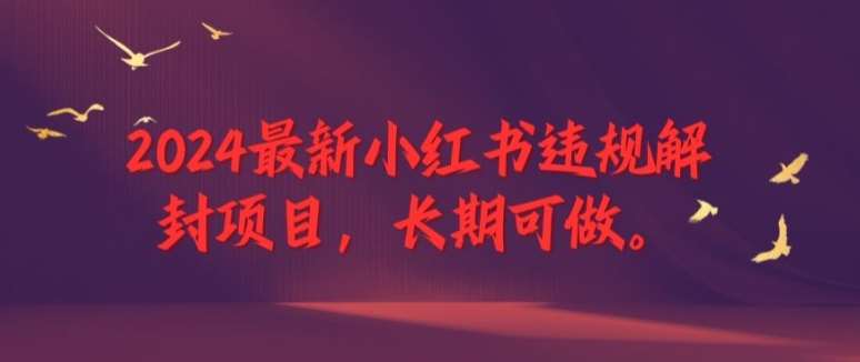 2024最新小红书违规解封项目，长期可做，一个可以做到退休的项目【揭秘】_天恒副业网