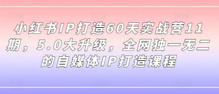 小红书IP打造60天实战营11期，5.0大升级，全网独一无二的自媒体IP打造课程_天恒副业网