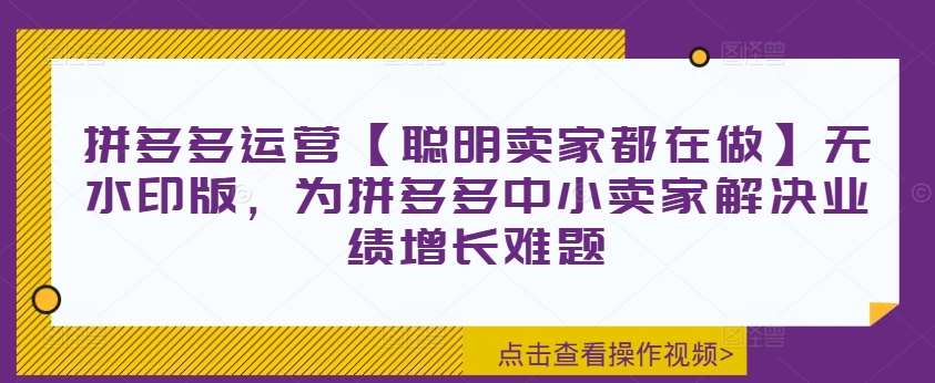 拼多多运营【聪明卖家都在做】无水印版，为拼多多中小卖家解决业绩增长难题_天恒副业网