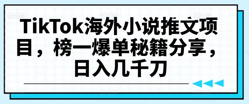 TikTok海外小说推文项目，榜一爆单秘籍分享，日入几千刀_天恒副业网