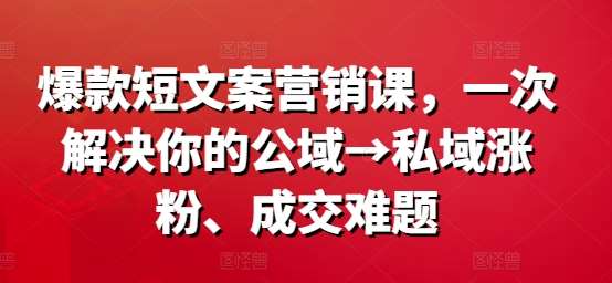 爆款短文案营销课，一次解决你的公域→私域涨粉、成交难题_天恒副业网