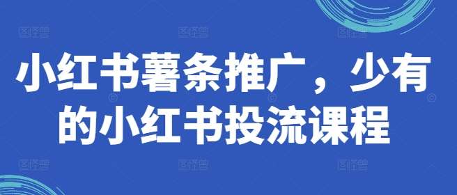 小红书薯条推广，少有的小红书投流课程_天恒副业网