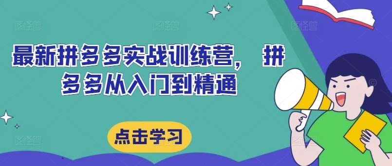 最新拼多多实战训练营， 拼多多从入门到精通_天恒副业网