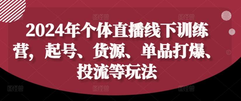 2024年个体直播训练营，起号、货源、单品打爆、投流等玩法_天恒副业网