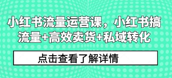 小红书流量运营课，小红书搞流量+高效卖货+私域转化_天恒副业网