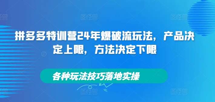 拼多多特训营24年爆破流玩法，产品决定上限，方法决定下限，各种玩法技巧落地实操_天恒副业网