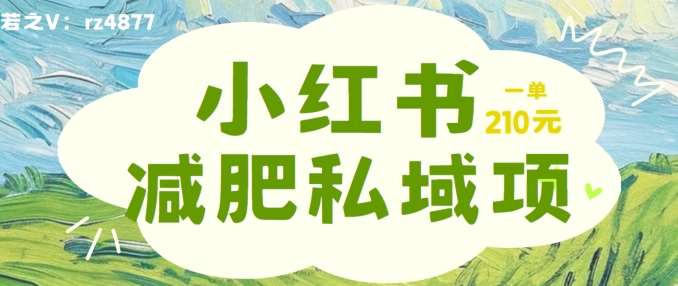 小红书减肥粉，私域变现项目，一单就达210元，小白也能轻松上手【揭秘】_天恒副业网