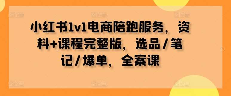 小红书1v1电商陪跑服务，资料+课程完整版，选品/笔记/爆单，全案课_天恒副业网