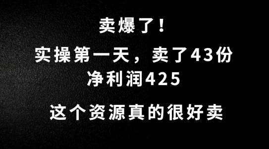 这个资源，需求很大，实操第一天卖了43份，净利润425【揭秘】_天恒副业网