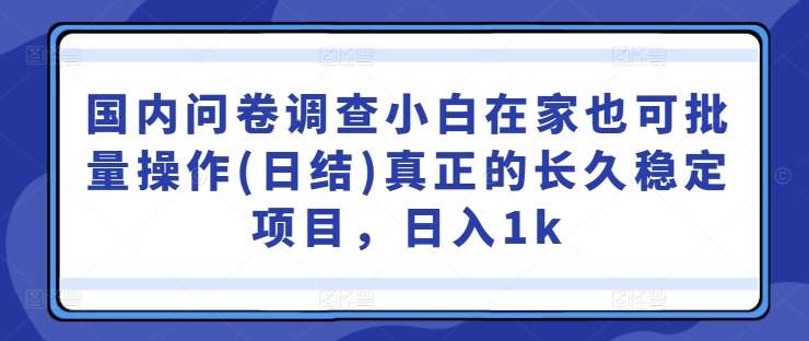 国内问卷调查小白在家也可批量操作(日结)真正的长久稳定项目，日入1k【揭秘】_天恒副业网