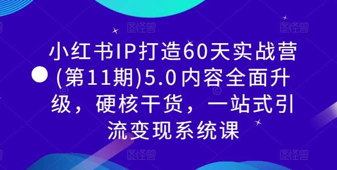 小红书IP打造60天实战营(第11期)5.0​内容全面升级，硬核干货，一站式引流变现系统课_天恒副业网