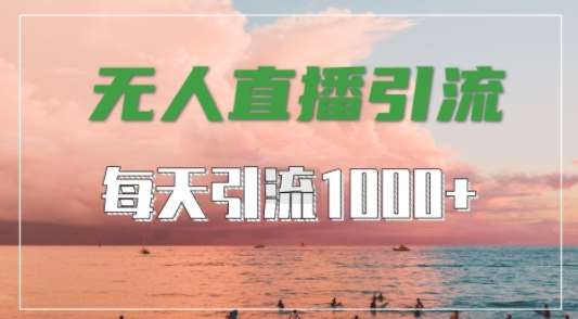 抖音快手视频号全平台通用，无人直播引流法，超暴力引流1000+高质量精准创业粉【揭秘】_天恒副业网