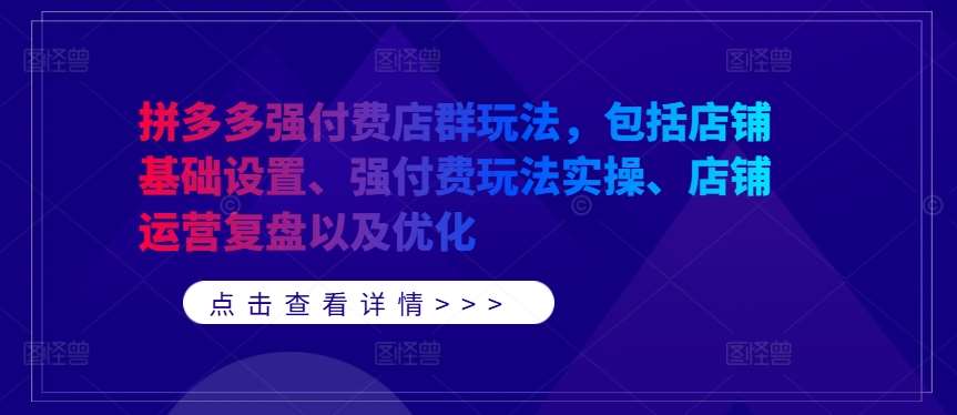 拼多多强付费店群玩法，包括店铺基础设置、强付费玩法实操、店铺运营复盘以及优化_天恒副业网