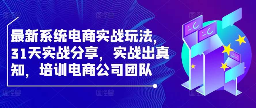 最新系统电商实战玩法，31天实战分享，实战出真知，培训电商公司团队_天恒副业网