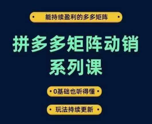 拼多多矩阵动销系列课，能持续盈利的多多矩阵，0基础也听得懂，玩法持续更新_天恒副业网