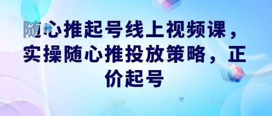 随心推起号线上视频课，实操随心推投放策略，正价起号_天恒副业网