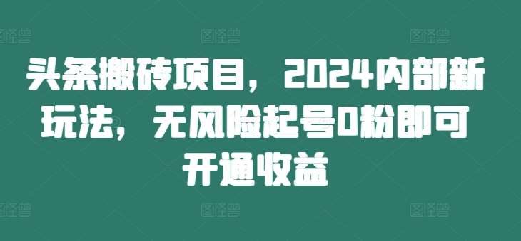 头条搬砖项目，2024内部新玩法，无风险起号0粉即可开通收益_天恒副业网