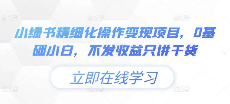 小绿书精细化操作变现项目，0基础小白，不发收益只讲干货_天恒副业网