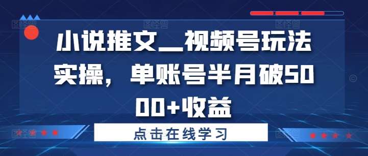 小说推文—视频号玩法实操，单账号半月破5000+收益_天恒副业网