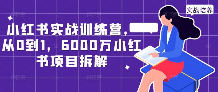 小红书实战训练营，从0到1，6000万小红书项目拆解_天恒副业网