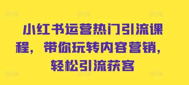 小红书运营热门引流课程，带你玩转内容营销，轻松引流获客_天恒副业网