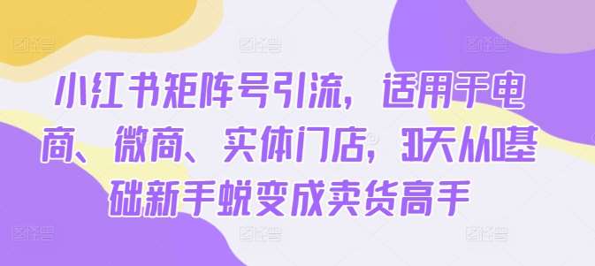 小红书矩阵号引流，适用于电商、微商、实体门店，30天从0基础新手蜕变成卖货高手_天恒副业网