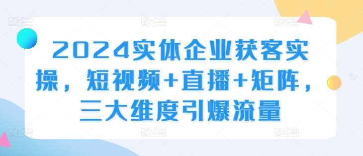 2024实体企业获客实操，短视频+直播+矩阵，三大维度引爆流量_天恒副业网