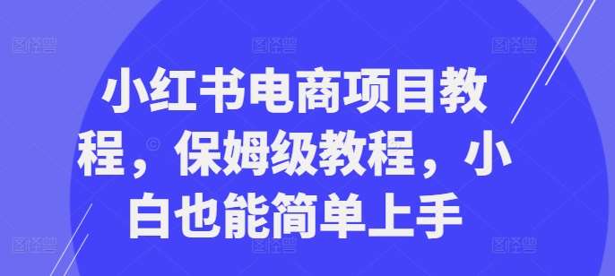 小红书电商项目教程，保姆级教程，小白也能简单上手_天恒副业网