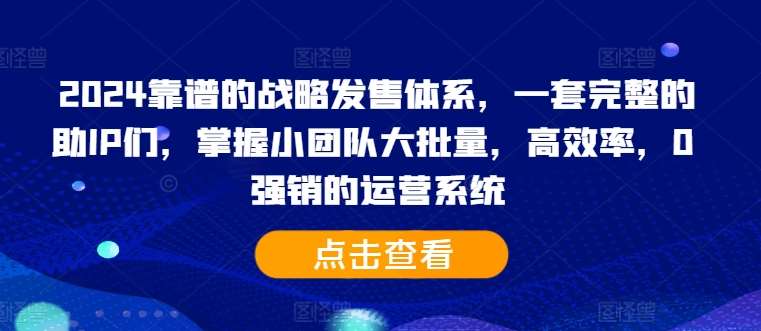 2024靠谱的战略发售体系，一套完整的助IP们，掌握小团队大批量，高效率，0强销的运营系统_天恒副业网