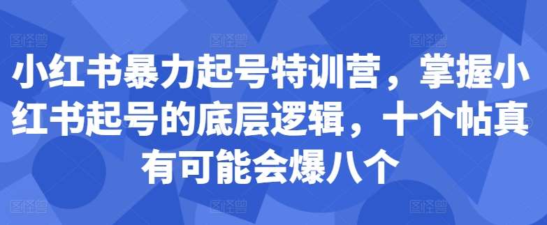 小红书暴力起号特训营，掌握小红书起号的底层逻辑，十个帖真有可能会爆八个_天恒副业网