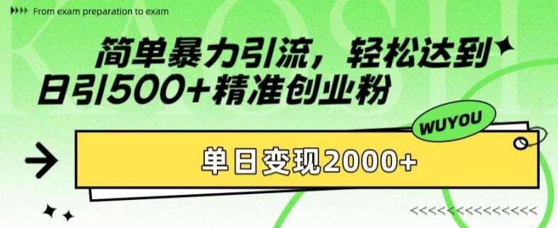 简单暴力引流，轻松达到日引500+精准创业粉，单日变现2k【揭秘】_天恒副业网