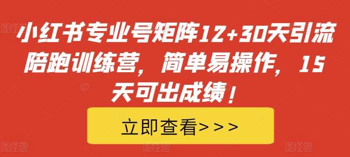 小红书专业号矩阵12+30天引流陪跑训练营，简单易操作，15天可出成绩!_天恒副业网