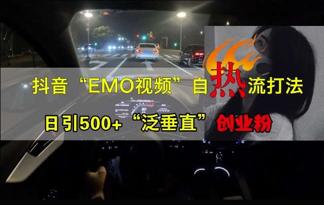 抖音EMO视频自热打法，日引500+“泛垂直”创业粉_天恒副业网