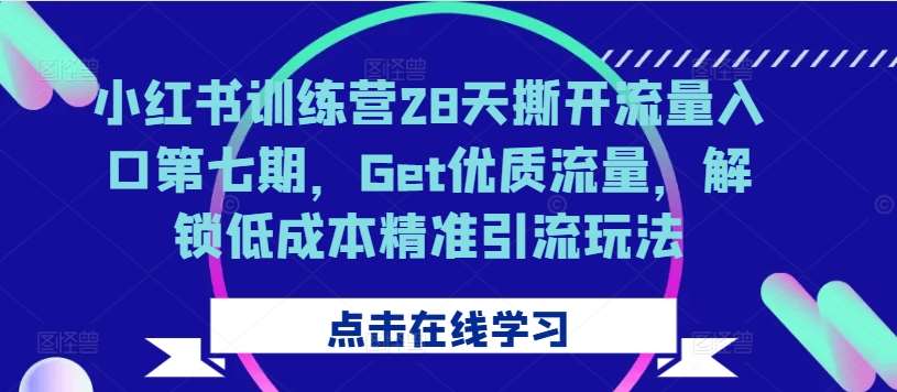 小红书训练营28天撕开流量入口第七期，Get优质流量，解锁低成本精准引流玩法_天恒副业网