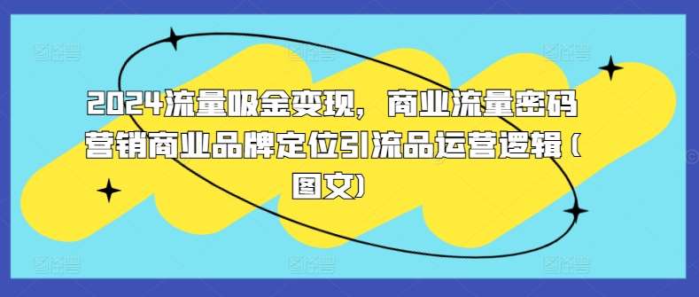 2024流量吸金变现，商业流量密码营销商业品牌定位引流品运营逻辑(图文)_天恒副业网