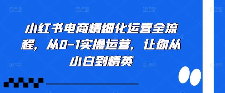 小红书电商精细化运营全流程，从0-1实操运营，让你从小白到精英_天恒副业网