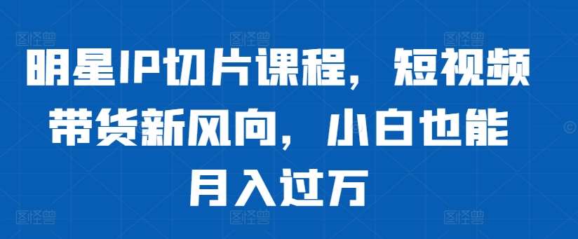 明星IP切片课程，短视频带货新风向，小白也能月入过万_天恒副业网