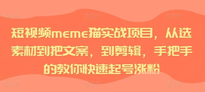 短视频meme猫实战项目，从选素材到把文案，到剪辑，手把手的教你快速起号涨粉_天恒副业网