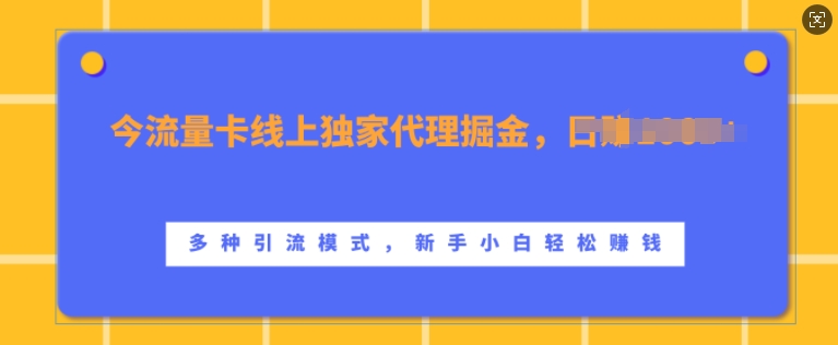 流量卡线上独家代理掘金，日入1k+ ，多种引流模式，新手小白轻松上手_天恒副业网