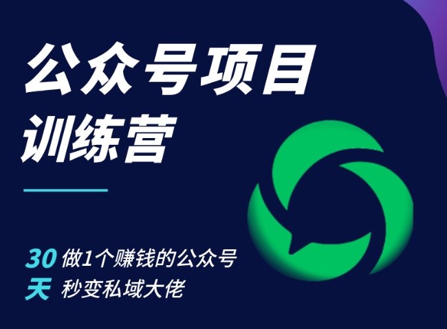 公众号项目训练营，30天做1个赚钱的公众号，秒变私域大佬_天恒副业网