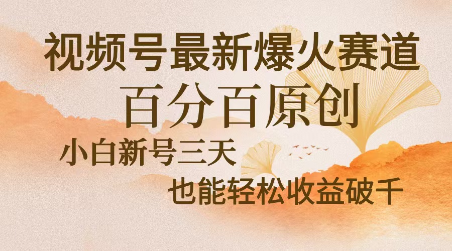 （13225期）视频号最新爆火赛道，中老年粉深信不疑，百分百原创，新号三天收益轻松…_天恒副业网